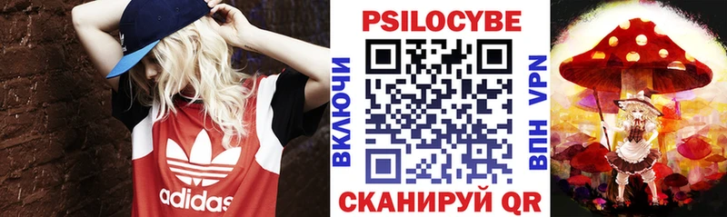 Псилоцибиновые грибы GOLDEN TEACHER  Маркс 